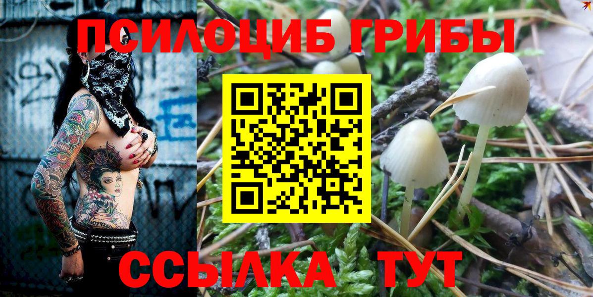 Псилоцибиновые грибы MAGIC MUSHROOMS  Вход с VPN  где купить наркоту  Волжск  Псилоцибиновые грибы мухоморы 